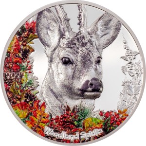 Nádherné vyobrazení srnce obecného na atraktivní parciálně kolorované stříbrné minci s vysokým reliéfem