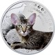 Jávská kočka ze světově populární série "Nejlepší přátelé člověka"