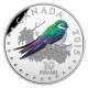 Nejkrásnější pestrobarevní pěvní ptáci Kanady - atraktivní stříbrná sada s hrajícím boxem